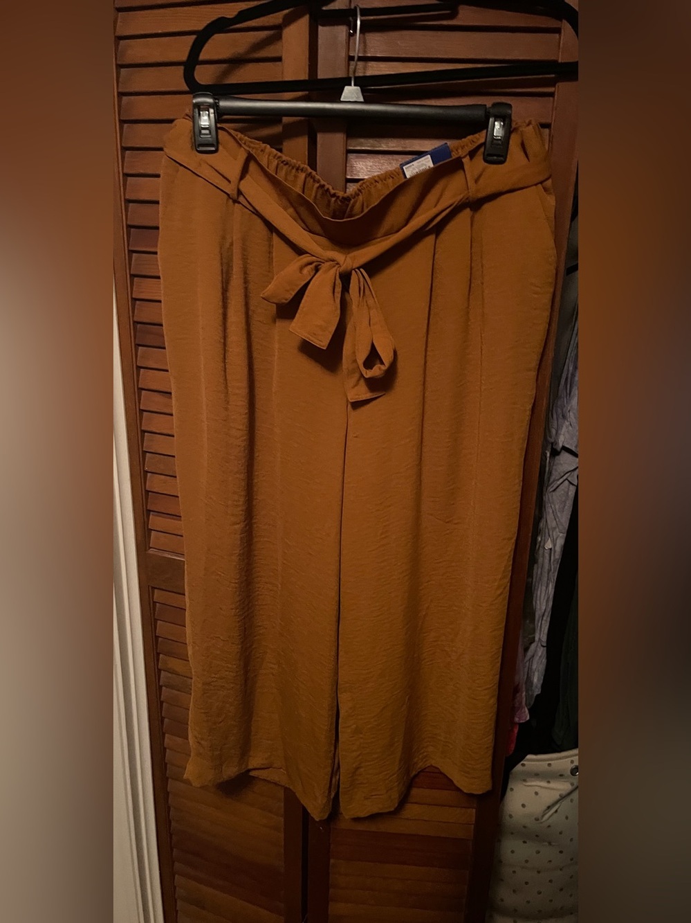 Apt. 9 Wide Leg Pants in Rust